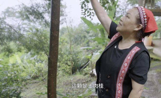 的节目尽显中医的“国际范儿”PG电子麻将胡了这档刚开播(图25)